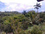 Donnington Castle, St. Mary, Jamaica - Commercial/farm land for Sale